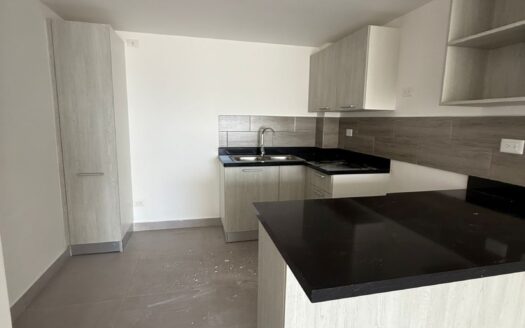 Vendo apartamento en la cayetano Germosen a tres minutos delParque Mirador Sur